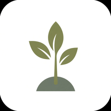 Olivebloom Atelier logo